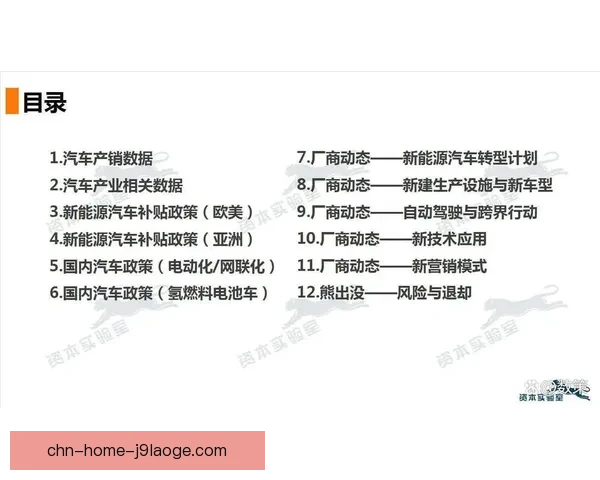 以世界杯预选赛最新战况全景观察各队走势与出线格局深度解读